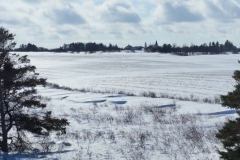 Cavendish-winter-20170219_124539