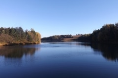 Fall-DSCF5559