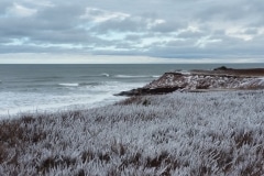 Ice-Storm-20170126_105617