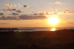 Malpeque-Bay-DSCF8440