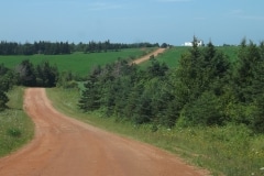 Red-Road-DSCF6397